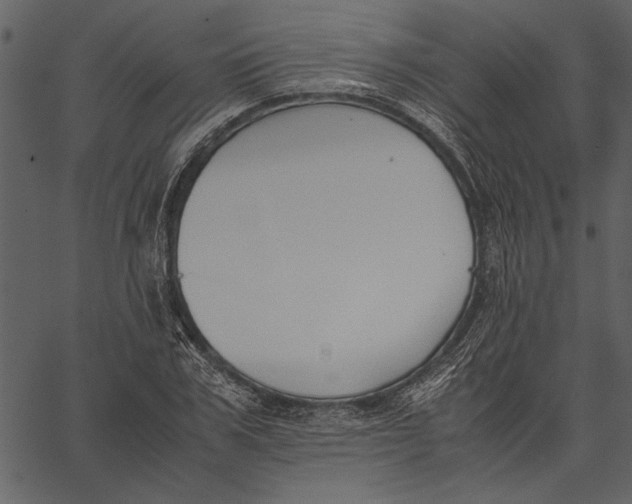 X0000062600979200601110938