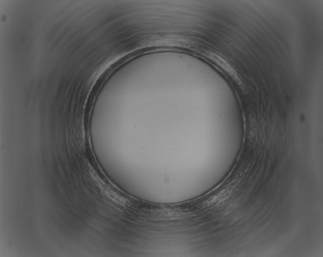X0000062600980200601110938