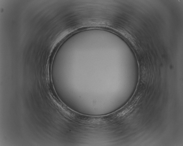 X0000062600982200601110938