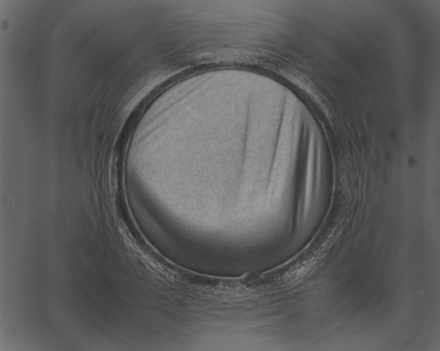 X0000062600983200601110938