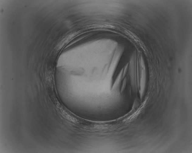 X0000062600985200601110938