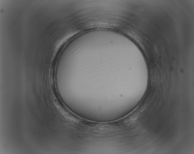 X0000062600987200601110938