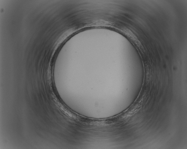 X0000062600990200601110938
