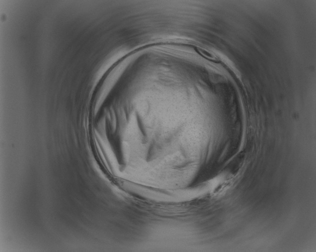 X0000062601007200601110938