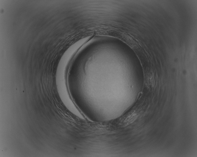 X0000062601010200601110937