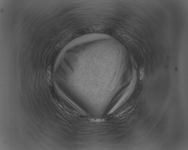 X0000062601011200601110937