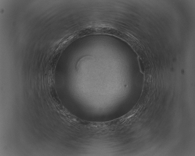 X0000062601014200601110937