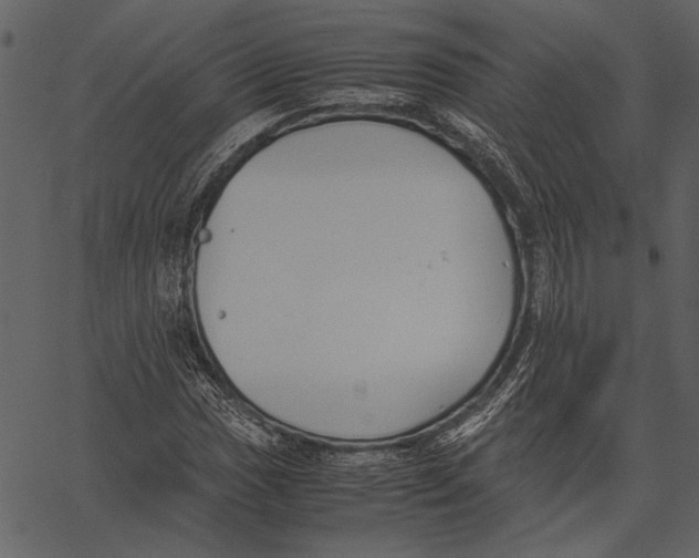 X0000062601017200601110937