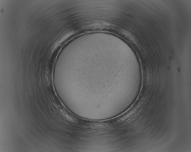 X0000062601018200601110937