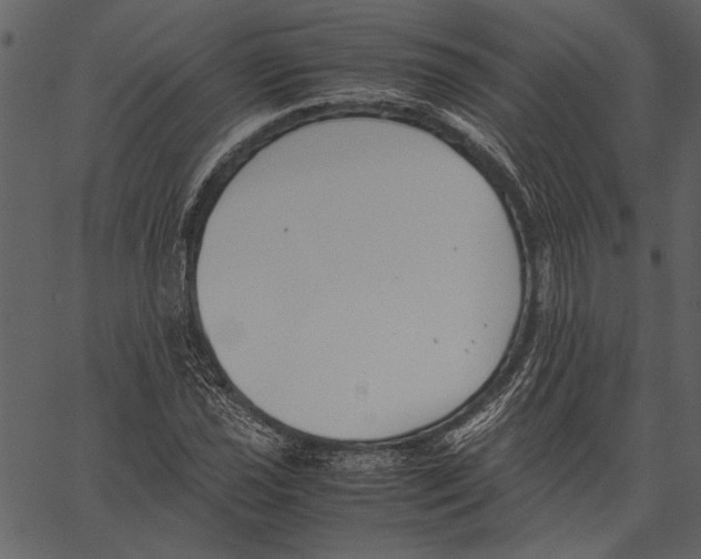 X0000062601021200601110937