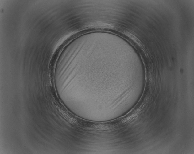 X0000062601022200601110937