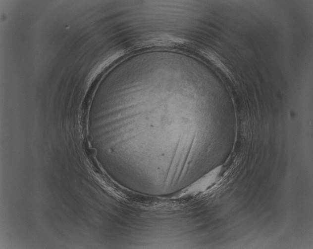X0000062601026200601110937