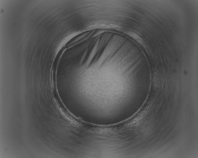 X0000062601030200601110937