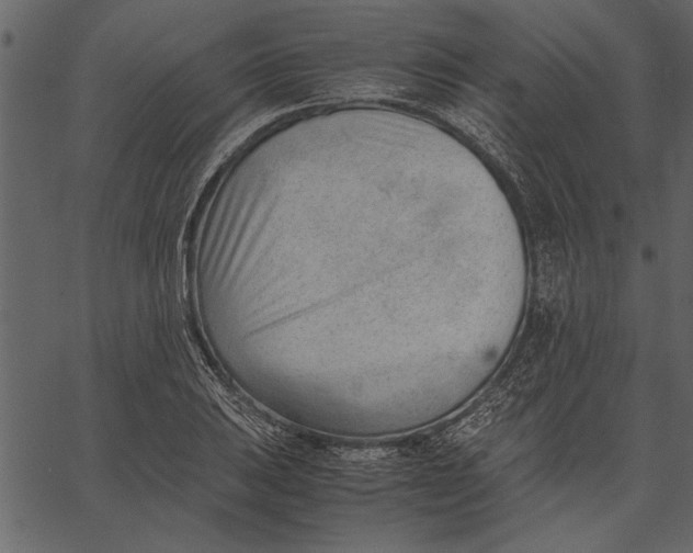 X0000062601031200601110937