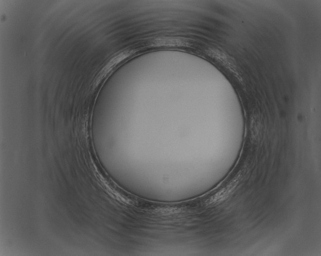 X0000062601033200601110937