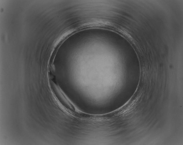 X0000062601034200601110937