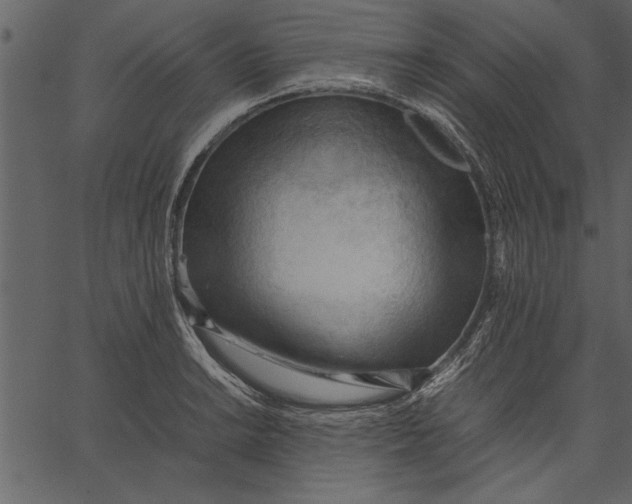 X0000062601038200601110937