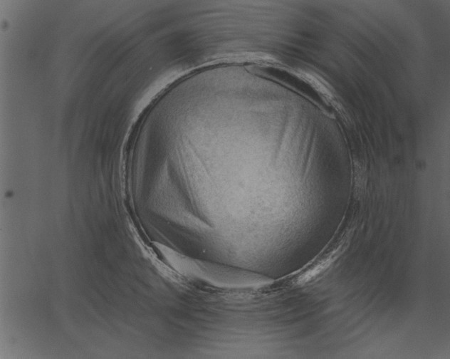 X0000062601046200601110937