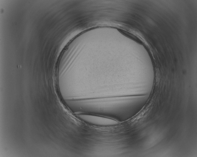 X0000062601048200601110937