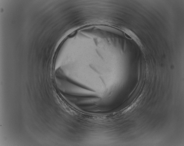 X0000062601052200601110937