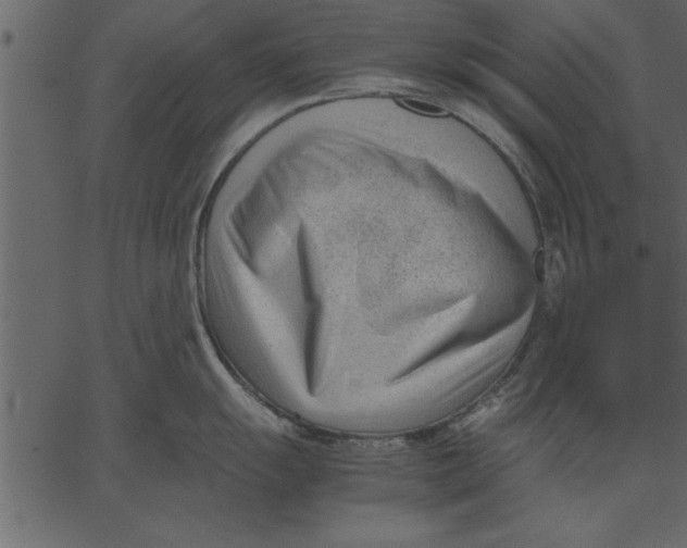 X0000062601055200601110937