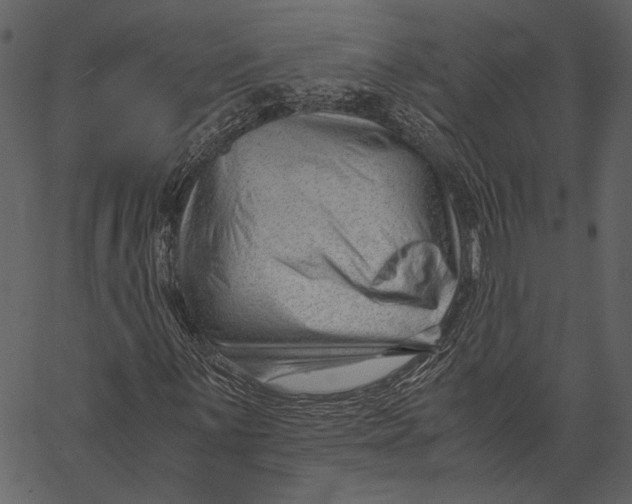 X0000062601059200601110937