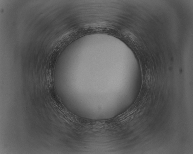 X0000062601062200601110937