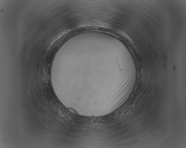 X0000062601064200601110937