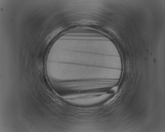 X0000062601065200601110937