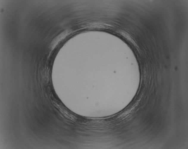 X0000062601067200601110937