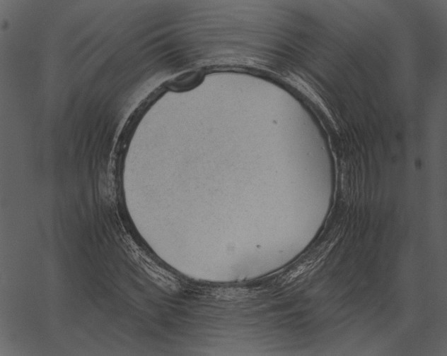 X0000062601068200601110937