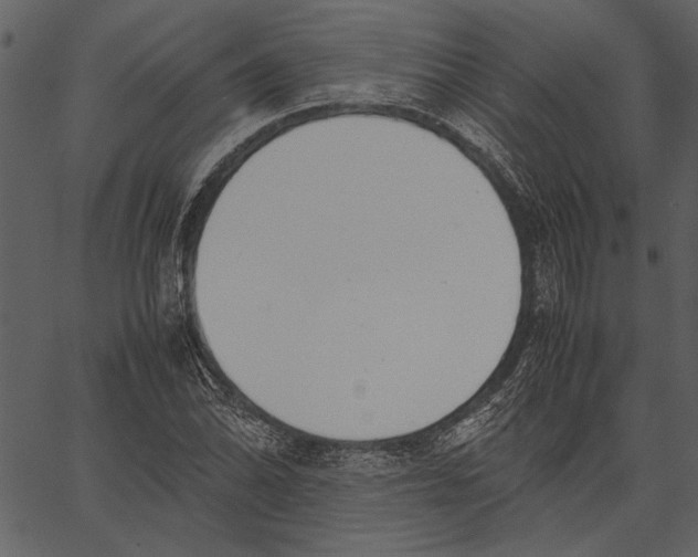 X0000062601070200601110936