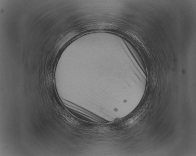 X0000062601073200601110936