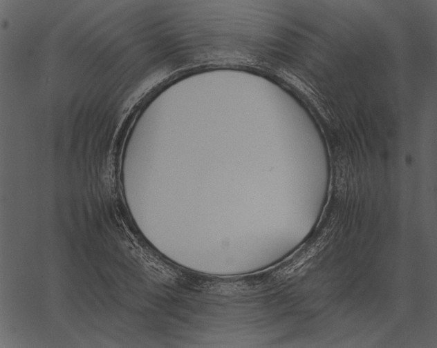 X0000062601074200601110936