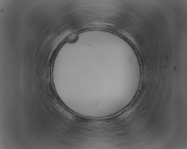 X0000062601075200601110936
