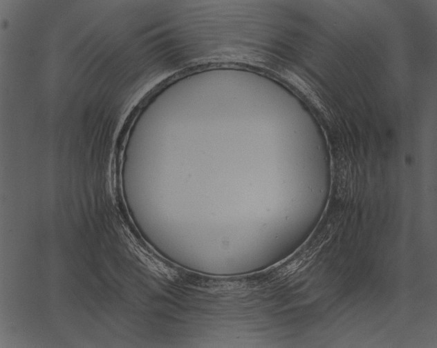 X0000062601076200601110936