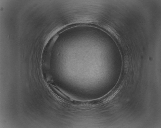 X0000062601077200601110936