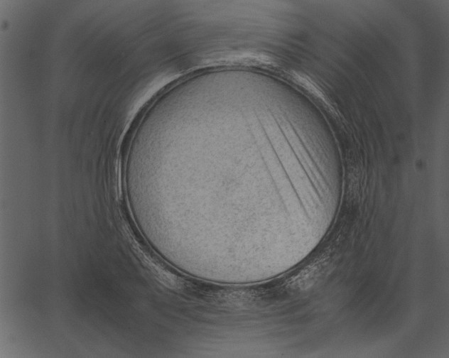 X0000062601079200601110936