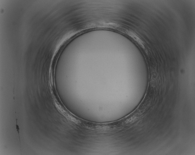 X0000062601080200601110936