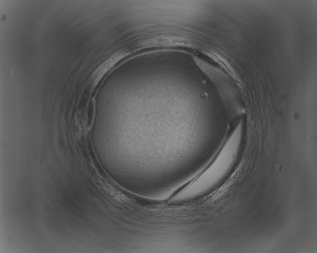 X0000062601081200601110936