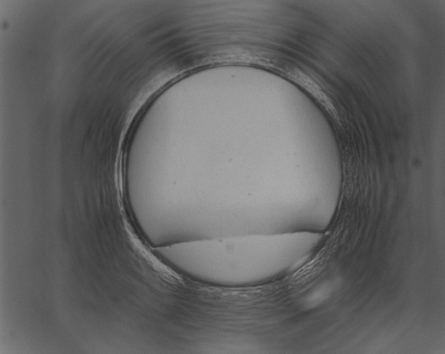 X0000062601084200601110936