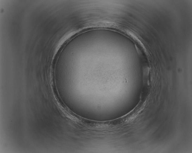 X0000062601085200601110936