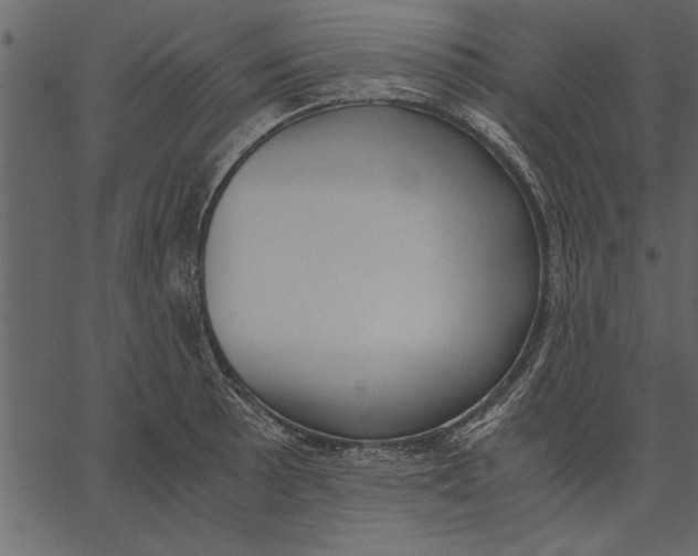 X0000062601089200601110936