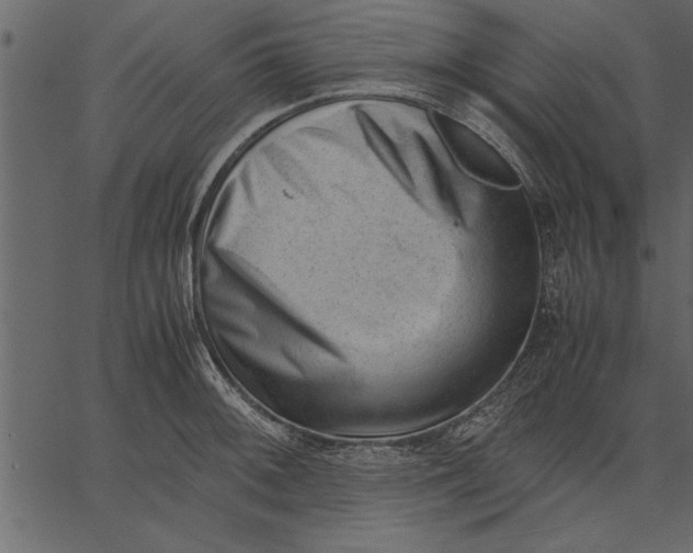 X0000062601092200601110936