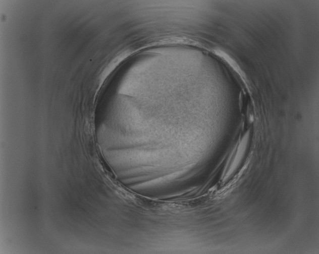 X0000062601097200601110936