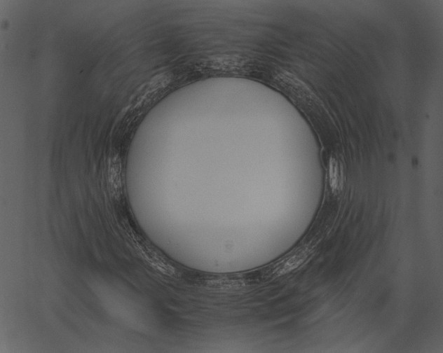 X0000062601107200601110935