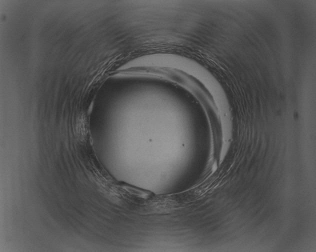 X0000062601108200601110935