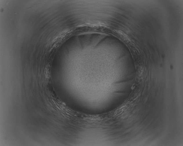 X0000062601110200601110935