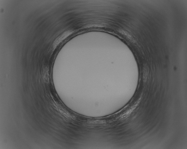 X0000062601113200601110935