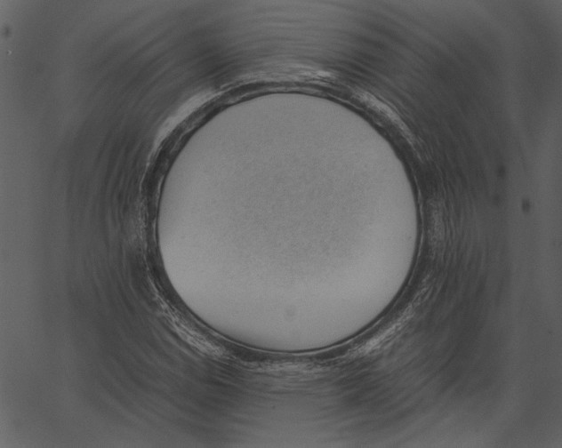 X0000062601114200601110935
